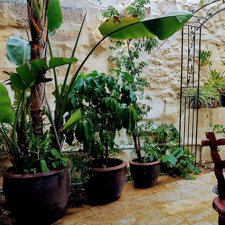 הגן הקסום, הצימר בבאר שבע Hotel ภายนอก รูปภาพ